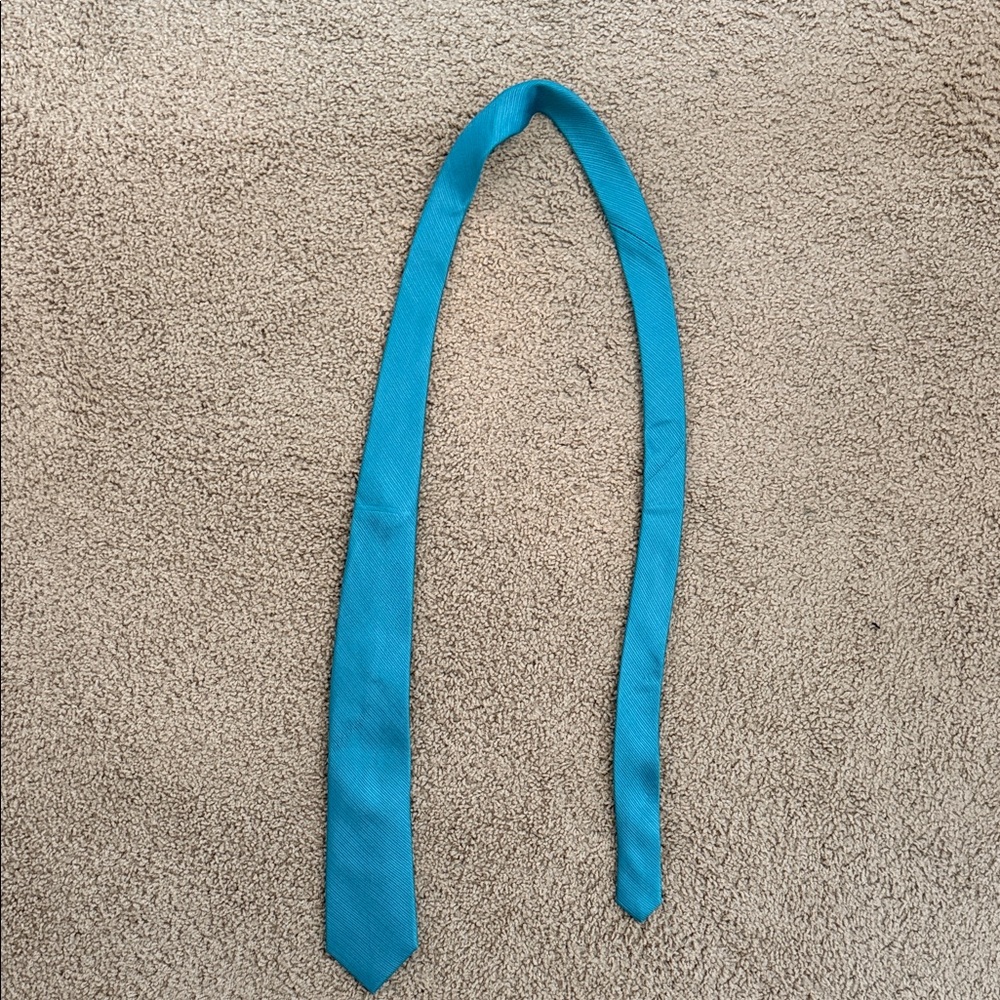 Egara Vibrant Blue Men's Tie